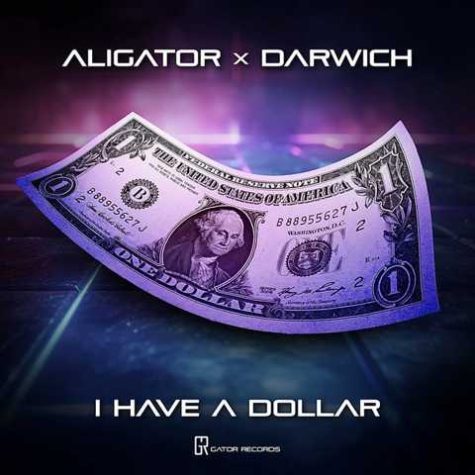 دانلود آهنگ دیجی علی گیتور I Have A Dollar